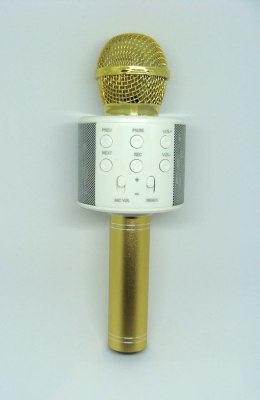 Mikrofon karaoke XREC WS858