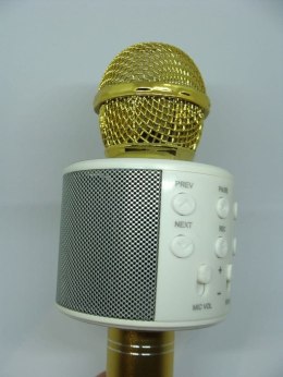 Mikrofon karaoke XREC WS858