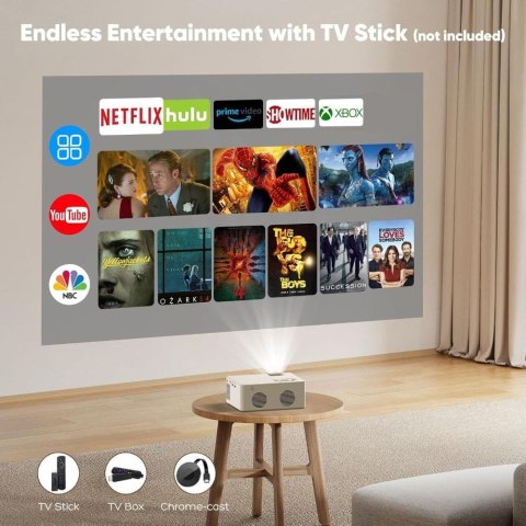 Projektor Akatuo XR11