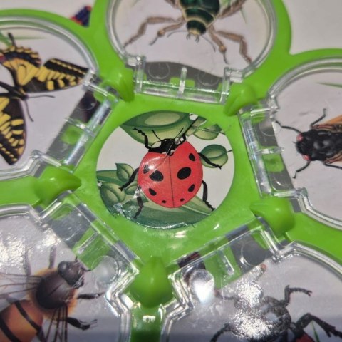 Zestaw badacza owadów Outdoor Explorer Kit